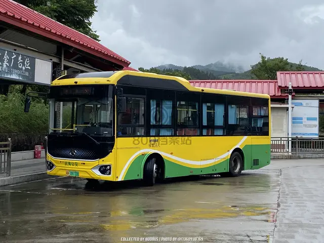 闽H 09770D