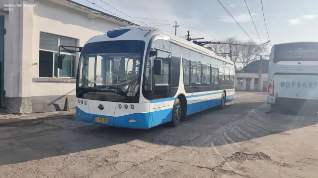 800BUS