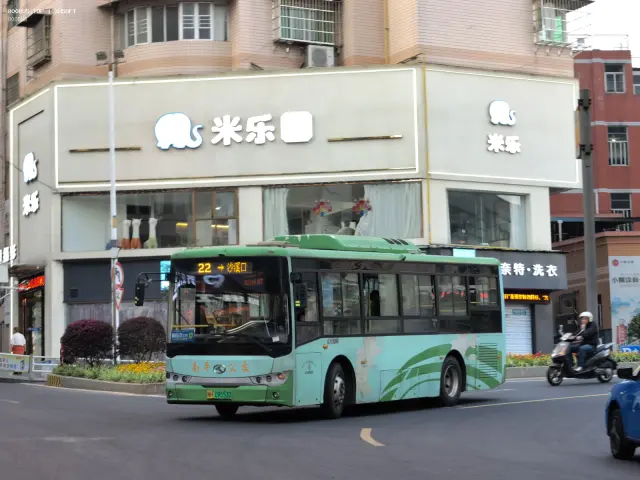 800BUS