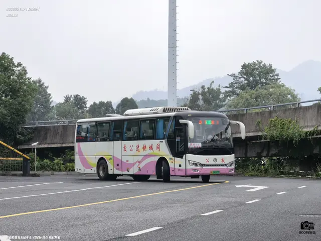 闽G 08997D