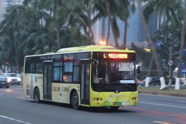800BUS