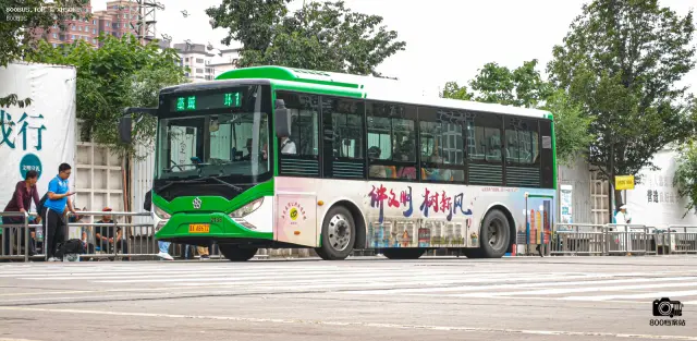 800BUS