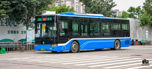 800BUS