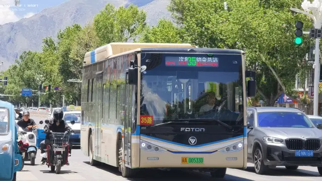 800BUS