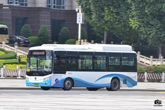 800BUS