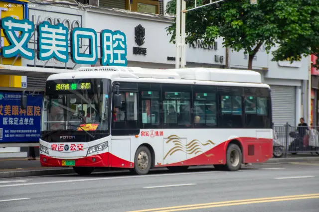 800BUS