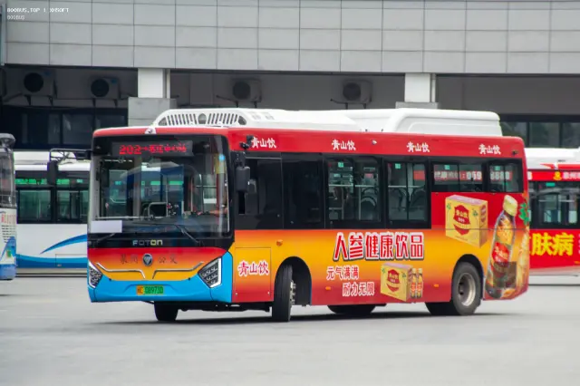 800BUS