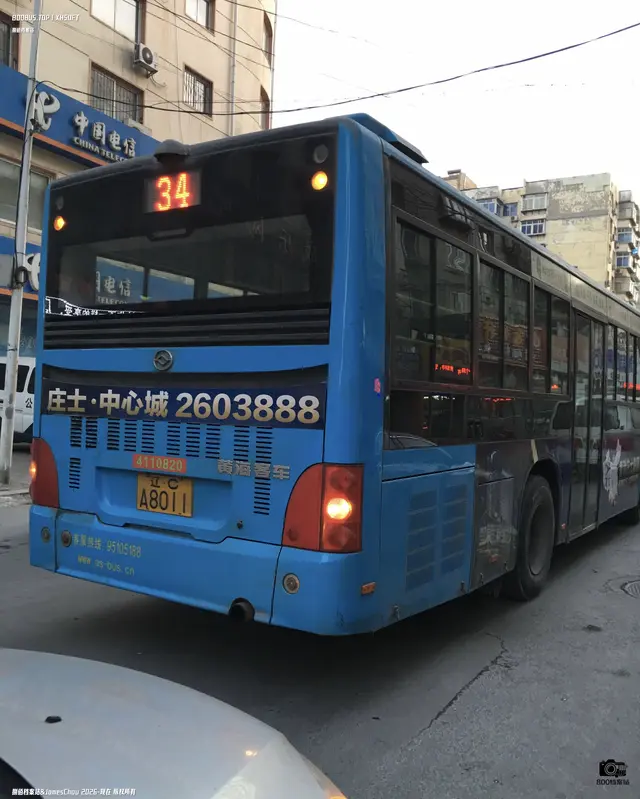 辽C A8011