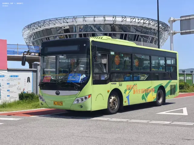 800BUS