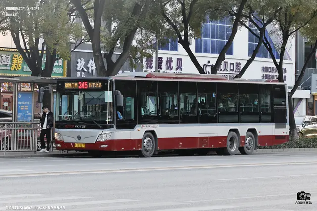 800BUS