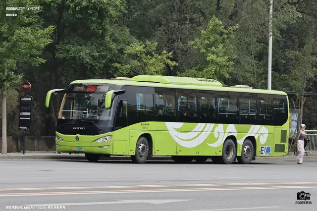 800BUS