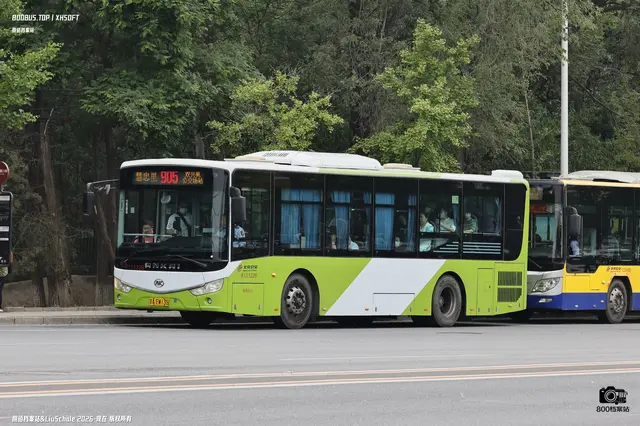 800BUS