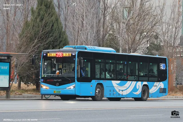 800BUS
