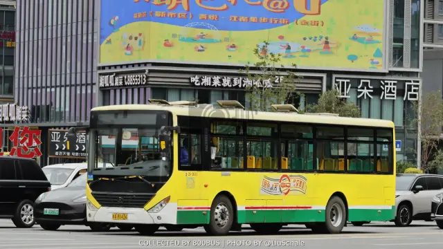 新A B0436