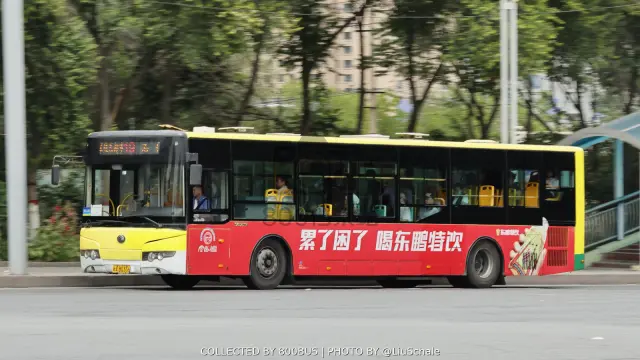 新A B0356