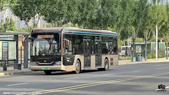 豫A 36960D