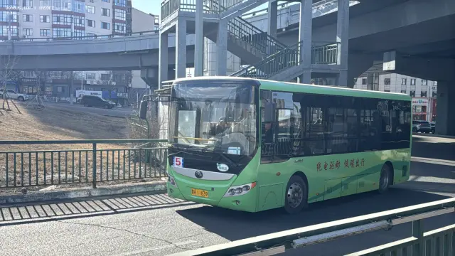 黑H11839