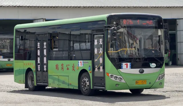 800BUS