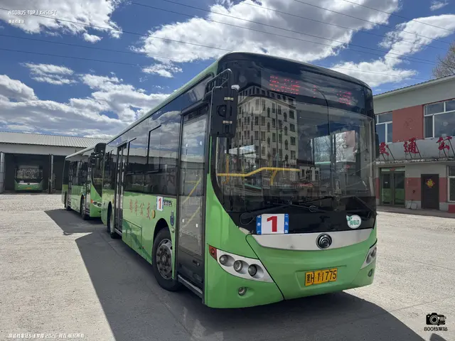 黑H 11775