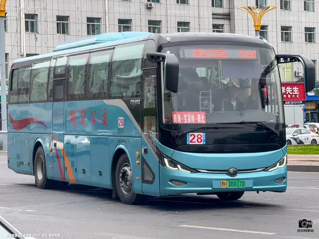 黑H 06817D