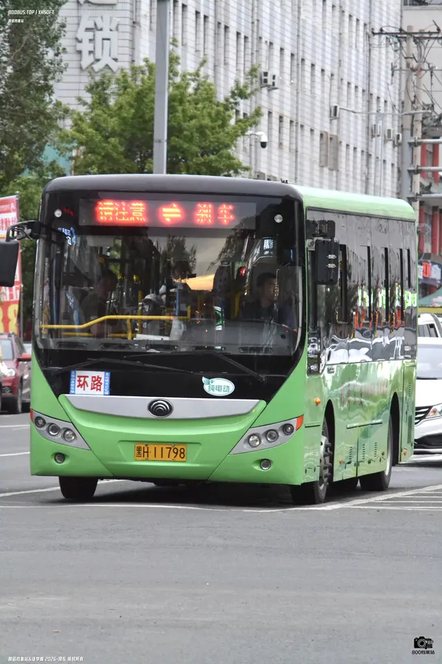 黑H 11798