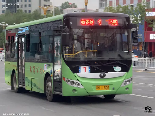 800BUS