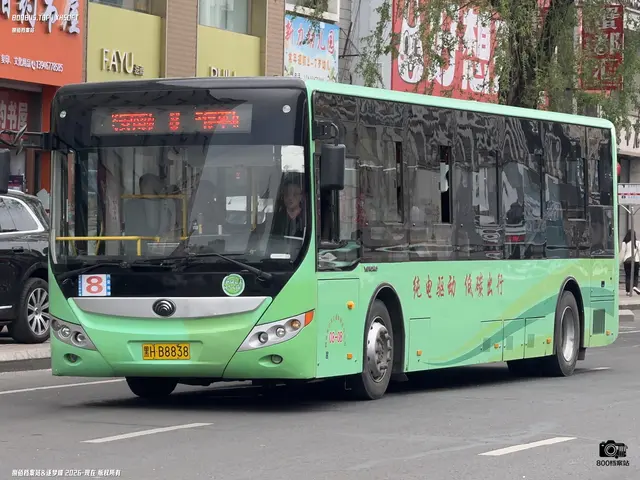800BUS