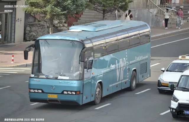 黑H D2010