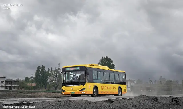 鲁H 03393D