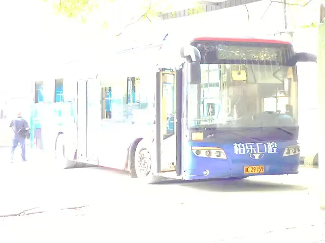 桂C  29159