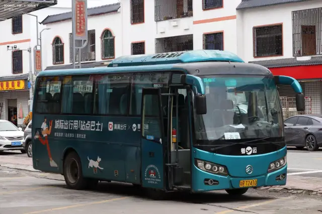 800BUS
