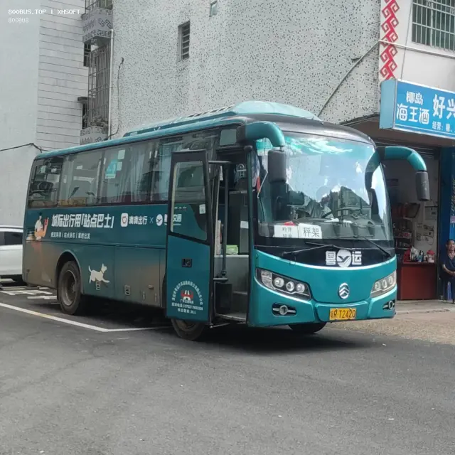 800BUS