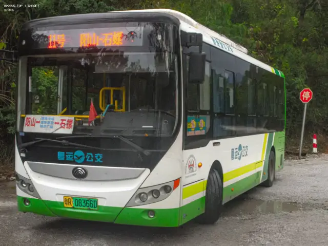 粤R 08336D