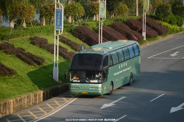 粤E X3041