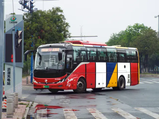 800BUS