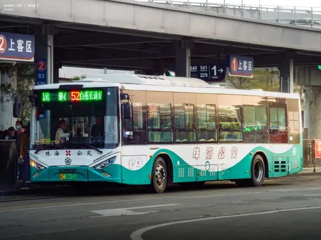 800BUS