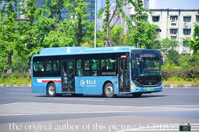 800BUS
