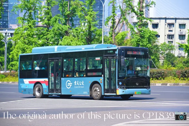 800BUS