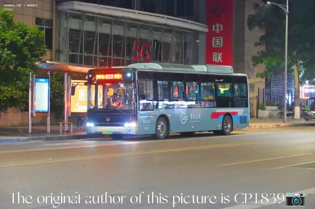 800BUS