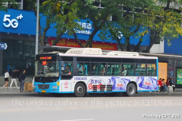 800BUS
