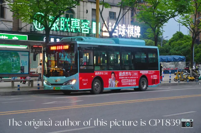 800BUS