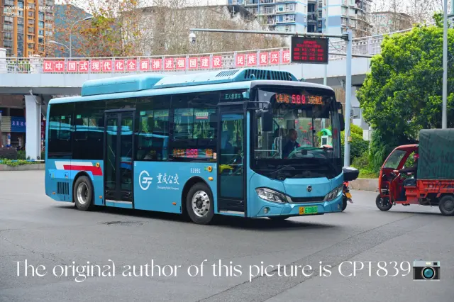 800BUS