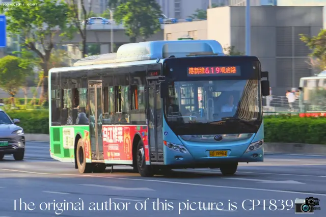 800BUS