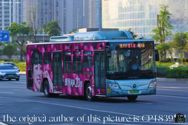 800BUS