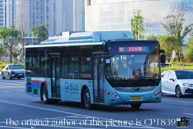 800BUS