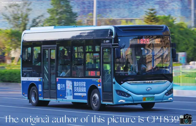 800BUS