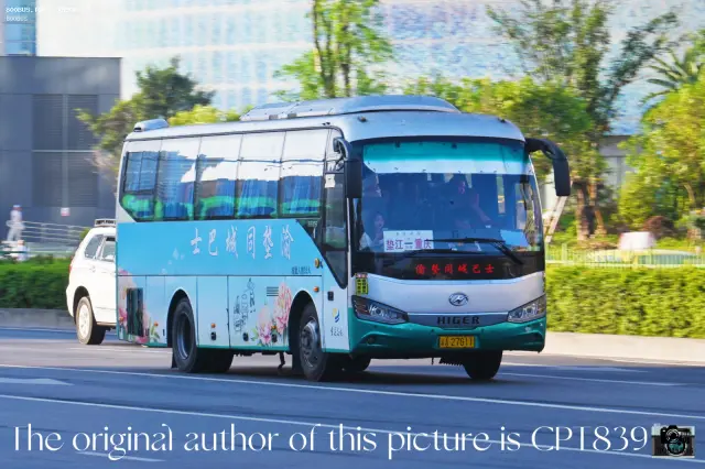 800BUS