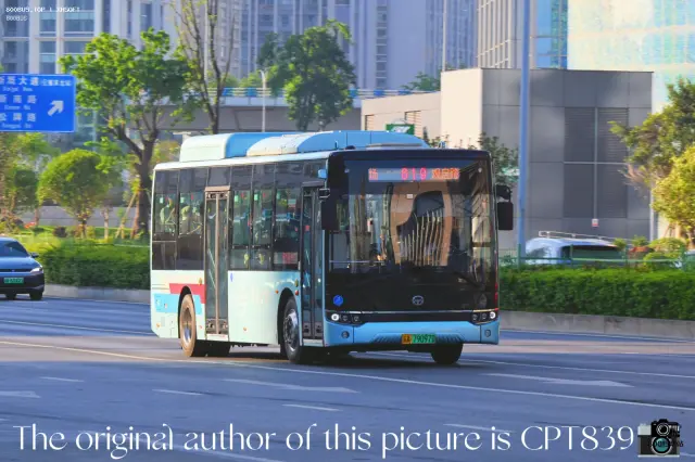800BUS