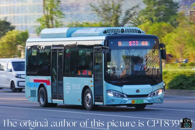 800BUS
