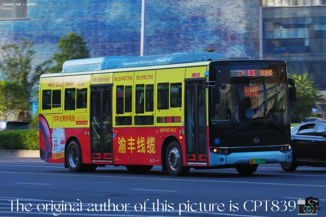 800BUS